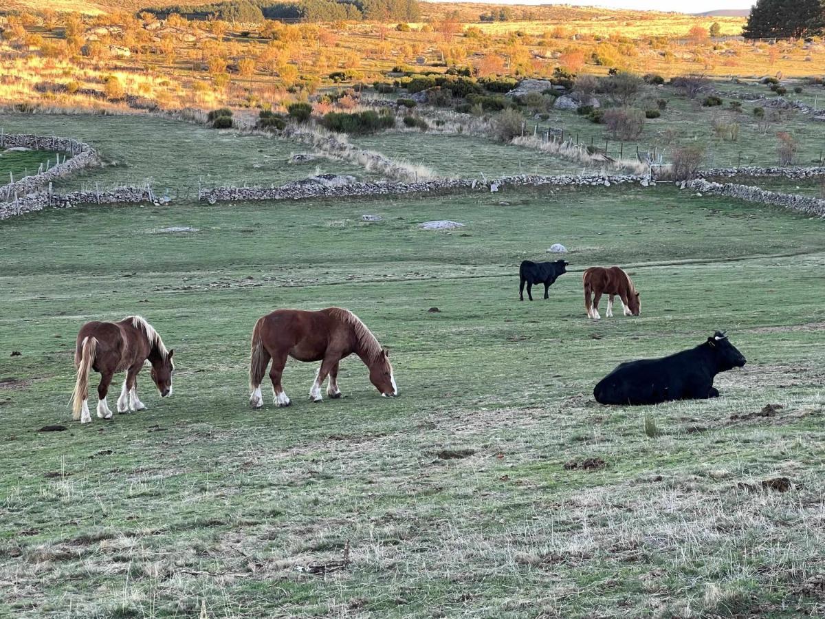 דירות נאבארדונדה דה גרדוס La Nava De Gredos Acogedor Piso Con Vistas מראה חיצוני תמונה